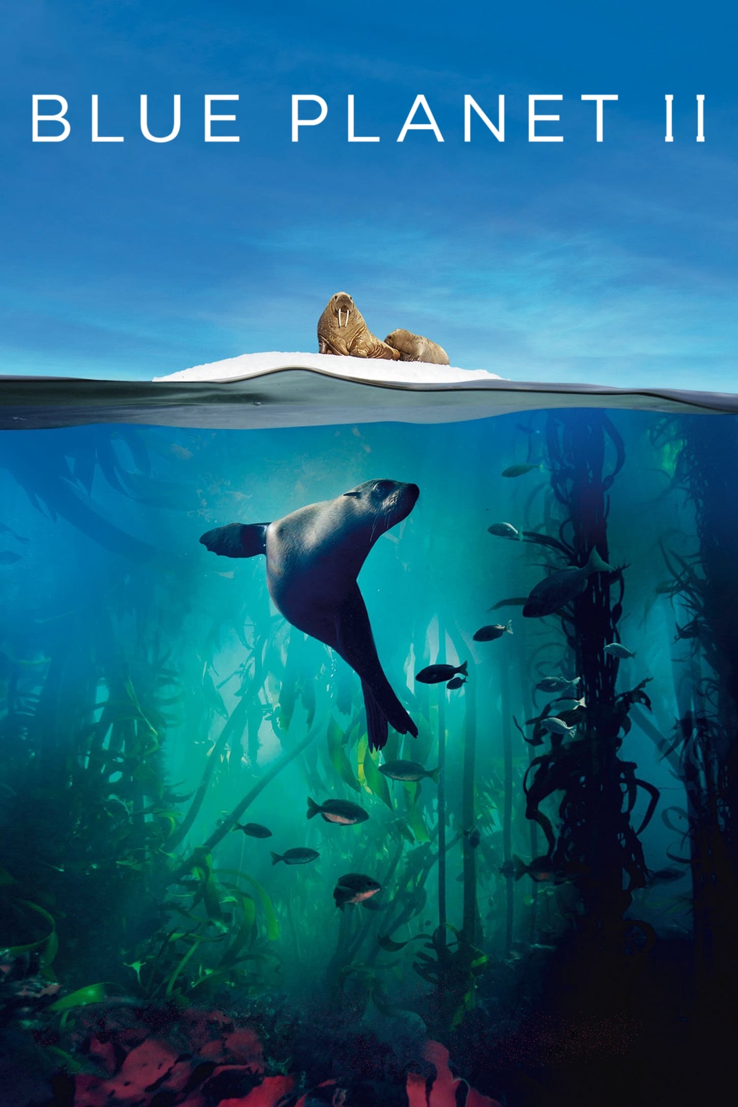 Blue Planet II (2017) – Stream Free Online Hd